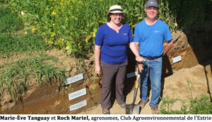 Creuser le sol pour le comprendre, San-T-Sols