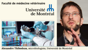 Alexandre Thibodeau, microbiologiste, Université de Montréal