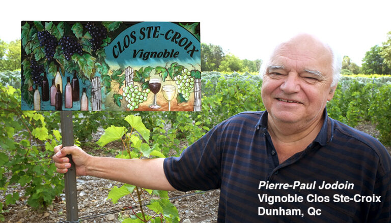 Ste_Croix_03 Vignoble Clos Ste-Croix, Vignoble urbain