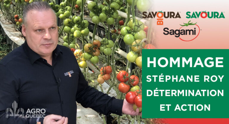 Hommage-StéphaneRoy-Savoura