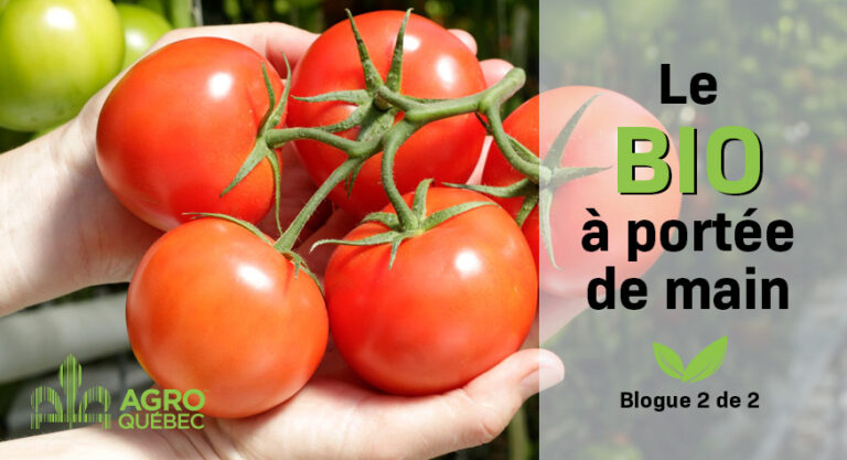 Blogue-Bio_Lionel Levac 2 de 2 Le BIO