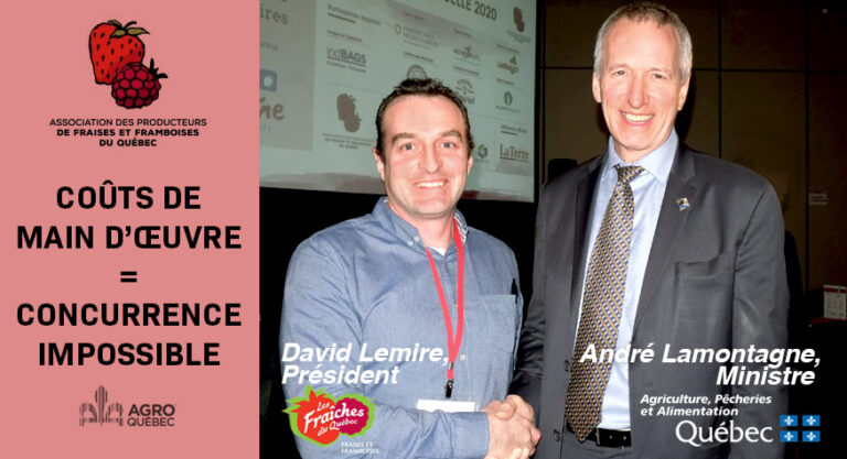 Fraises-framboises_David Lemire_Andre Lamontagne Fraises et framboises