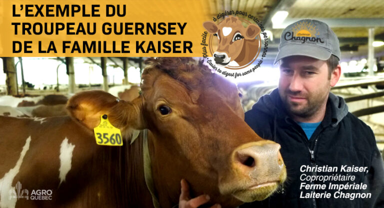 Guernsey-Famille Kaiser