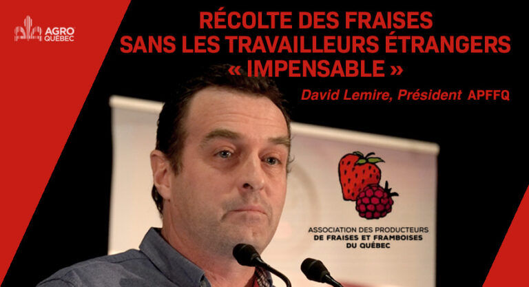 Fraises-David Lemire-APPFQ David Lemire