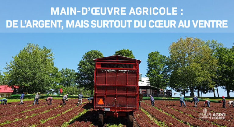 Main-doeuvre-argent-coeur-au-ventre Main-d'oeuvre agricole