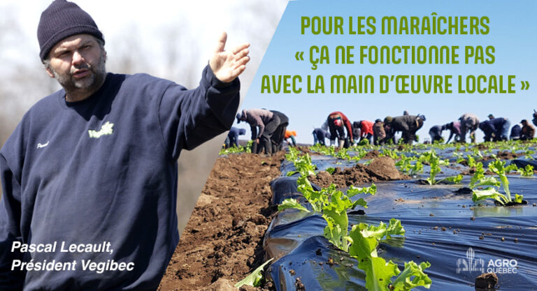 Maraichers_ca ne fonctionne pas main d’oeuvre locale Main d'oeuvre locale