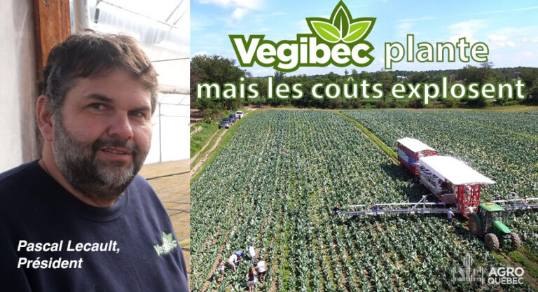 vegibec_Pascal Lecault