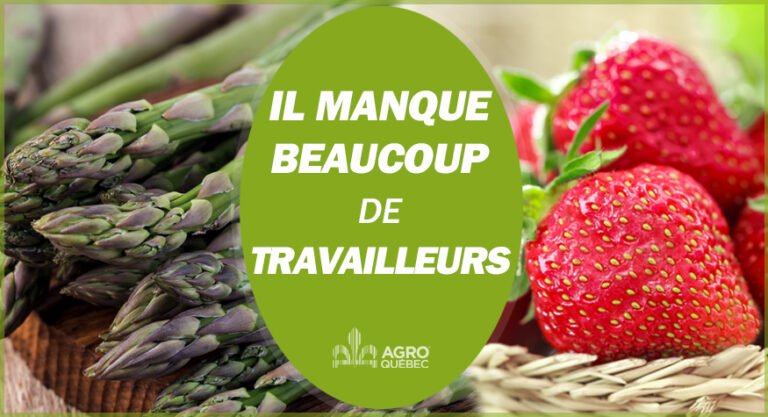 Blogue_MANQUE TRAVAILLEURS