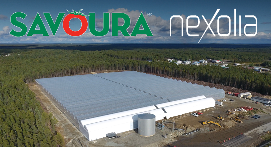 Communiqué Savoura Chapais