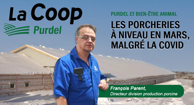 Blogue LES PORCHERIES À NIVEAU EN MARS, MALGRÉ LA COVID