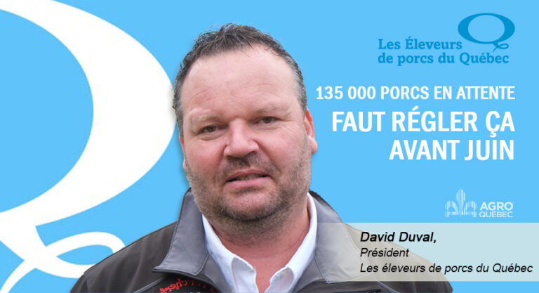 Blogue Lionel Levac 135,000 porcs en attente v2