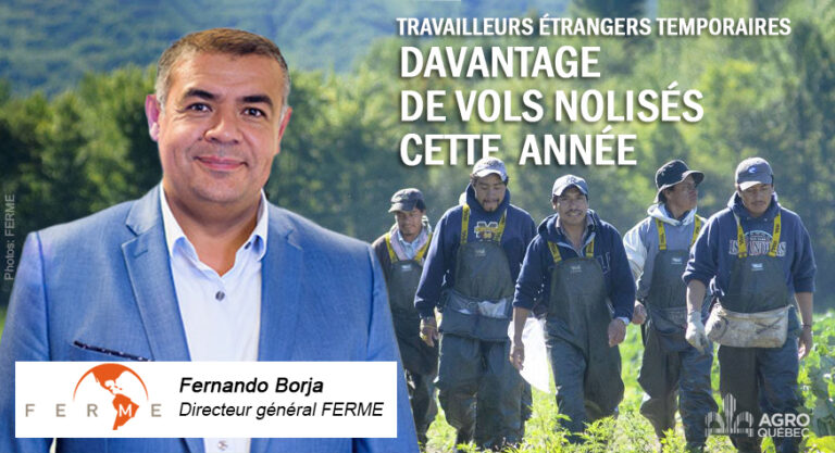 Blogue DAVANTAGE DE VOLS NOLISÉS CETTE ANNÉE