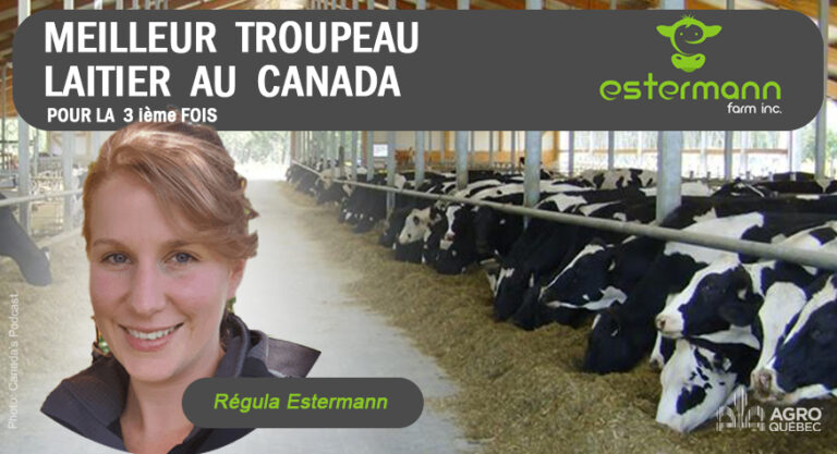 Blogue FERME ESTERMANN MEILLEUR TROUPEAU LAITIER AU CANADA v2