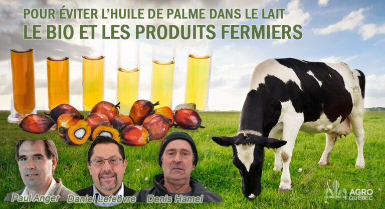 Blogue POUR ÉVITER L’HUILE DE PALME DANS LE LAIT v3