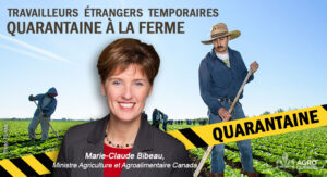 Blogue Marie Claude Bibeau QUARANTAINE A LA FERME