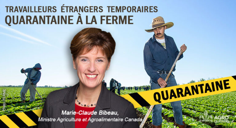 Blogue Marie Claude Bibeau – QUARANTAINE À LA FERME