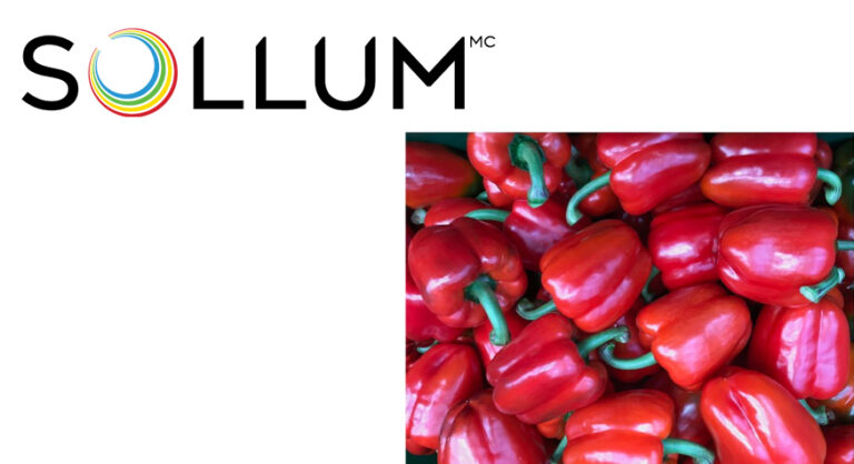 Communiqué SOLLUM TECHNOLOGIES SIGNE UN ACCORD AVEC