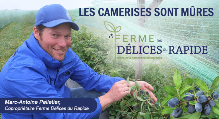 Blogue LES CAMERISES SONT MÛRES version 2