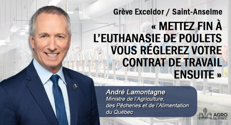 Blogue « METTEZ FIN À L’EUTHANASIE DE POULETS VOUS RÉGLEREZ VOTRE CONTRAT DE TRAVAIL ENSUITE »