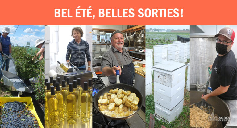 Blogue BEL ÉTÉ, BELLES SORTIES…