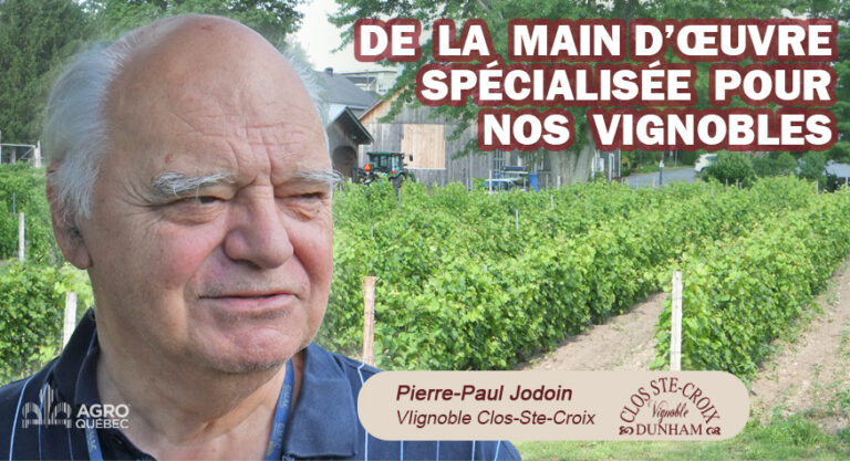 Blogue DE LA MAIN D’ŒUVRE SPÉCIALISÉE POUR NOS VIGNOBLES v2