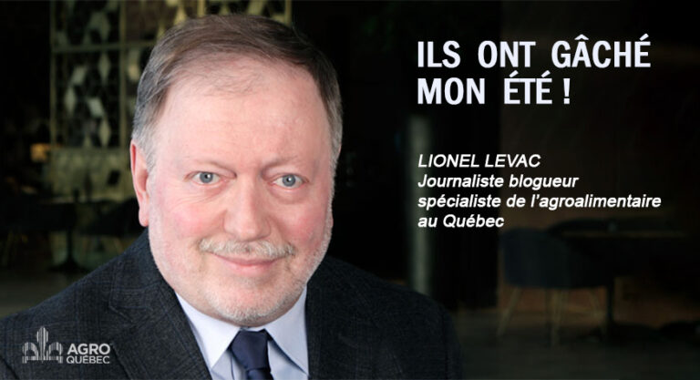 Blogue iLS ONT GÂCHÉ MON ÉTÉ !