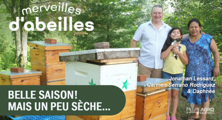 Blogue BELLE SAISON! MAIS UN PEU SÈCHE…
