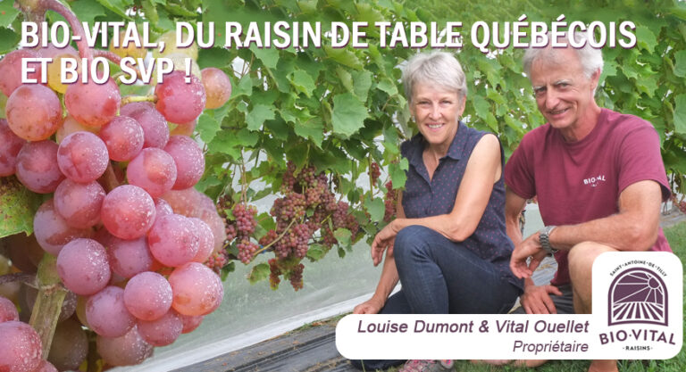 Blogue – BIO-VITAL, DU RAISIN DE TABLE QUÉBÉCOIS