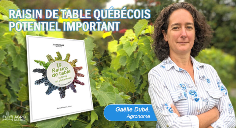 Blogue RAISIN DE TABLE QUÉBÉCOIS