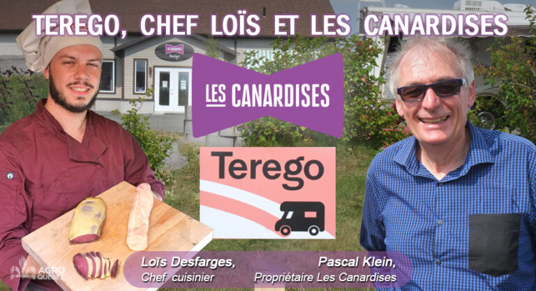 Blogue TEREGO, CHEF LOÏS ET LES CANARDISES