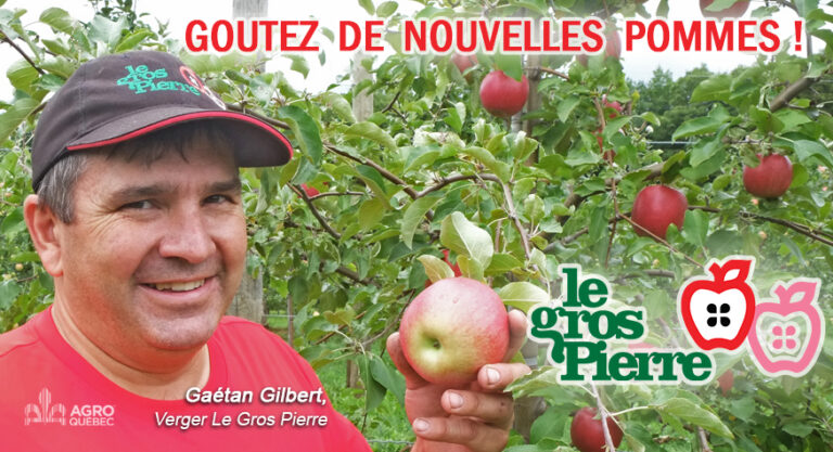 Blogue – GOUTEZ DE NOUVELLES POMMES !