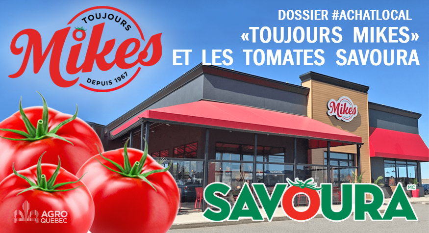 Blogue – ACHAT LOCAL Toujours Mikes et les tomates savoura
