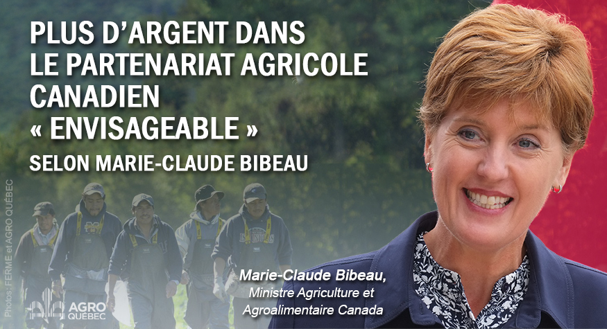 Blogue – PLUS D’ARGENT DANS LE PARTENARIAT AGRICOLE CANADIEN BLANC