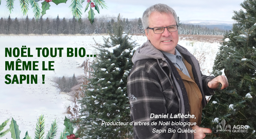 Blogue – NOËL TOUT BIO…