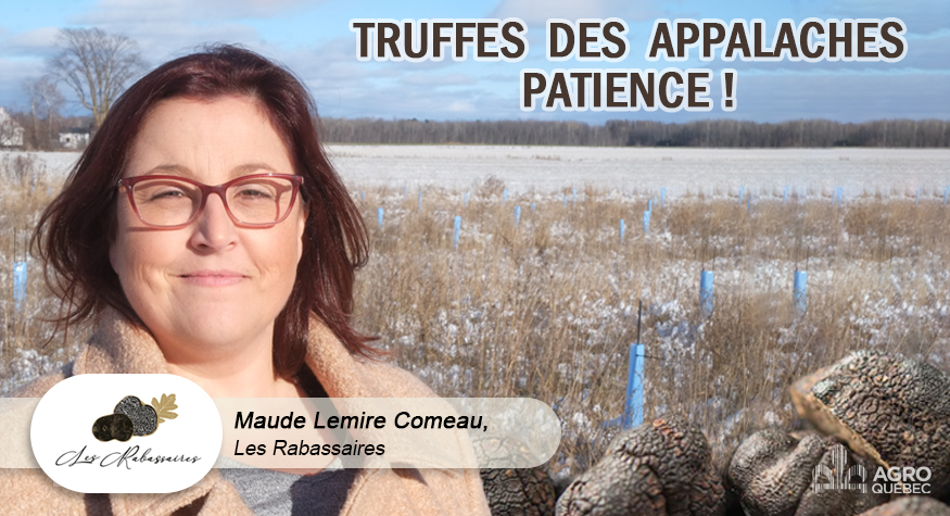 Blogue TRUFFES DES APPALACHES