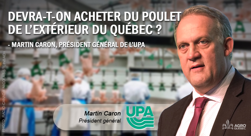 Blogue – DEVRA-T-ON ACHETER DU POULET DE L’EXTÉRIEUR DU QUÉBEC