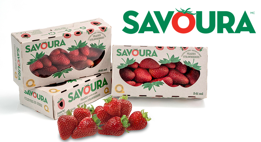 Communiqué – Savoura Boite fraises