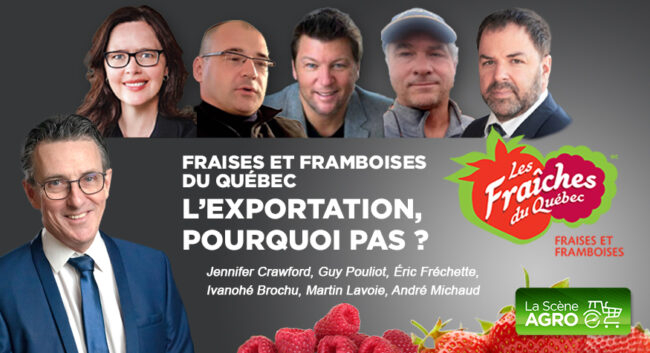 Balado – Exportation Fraises et Framboises v4