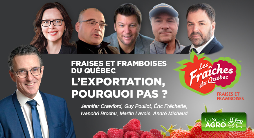 Balado – Exportation Fraises et Framboises v4