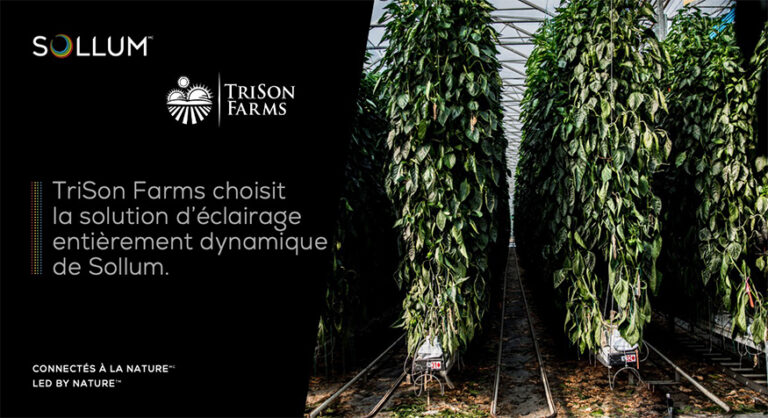 Communiqué TriSon Farms signe avec Sollum Technologies