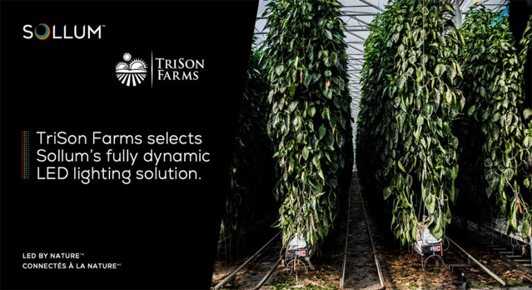 Communiqué TriSon Farms signs with Sollum Technologies