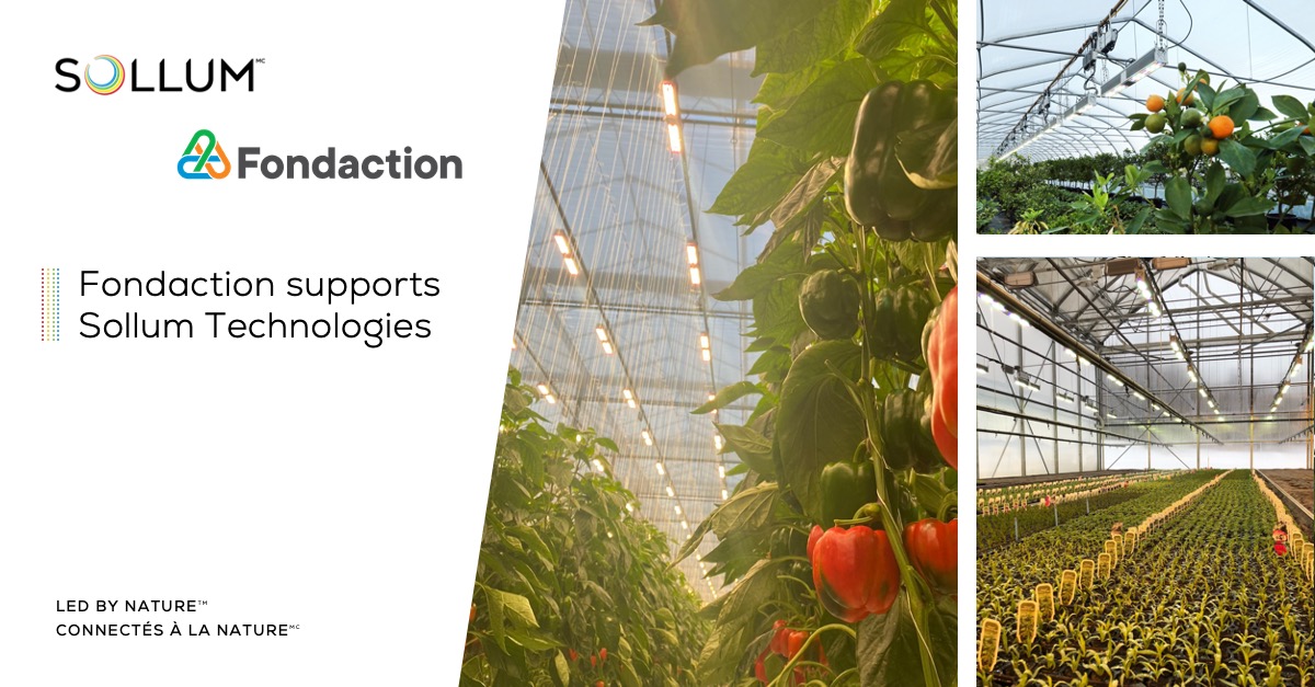 Sollum-Fondaction EN