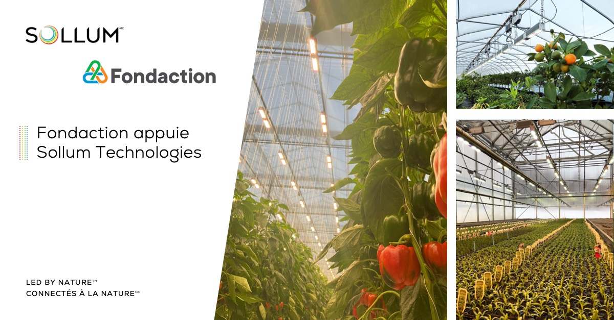 Sollum-Fondaction FR