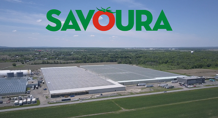 SAVOURA Communiqué Ste-Sophie