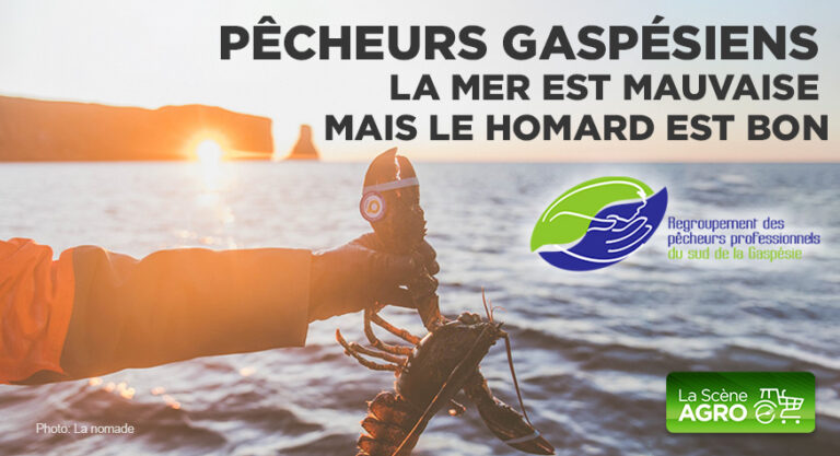 Balado – Pêcheurs Gaspésiens