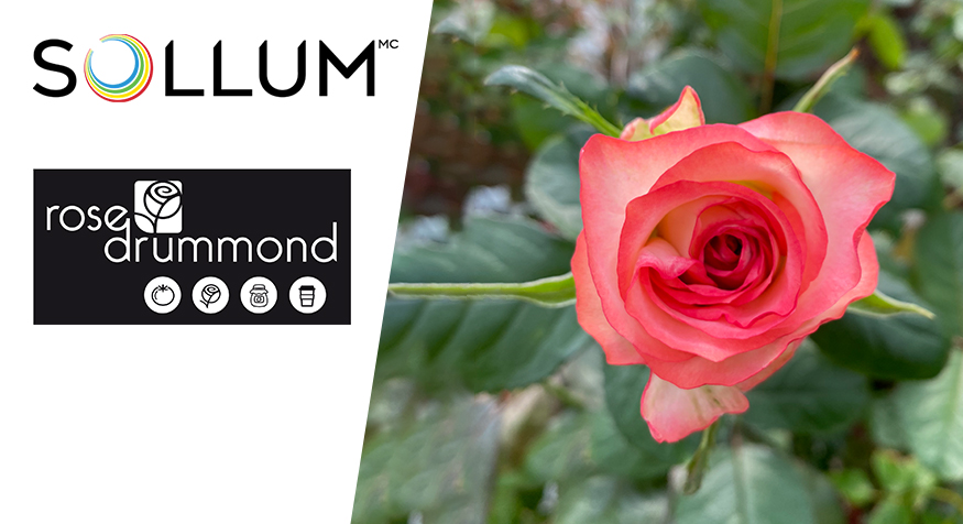 Communiqué – Sollum et Rose Drummond