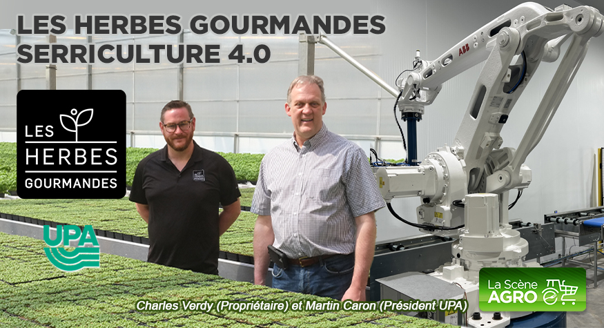 Balado – Herbes gourmandes Martin caron