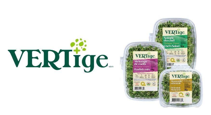 vertige metro cva sherbrooke explosion