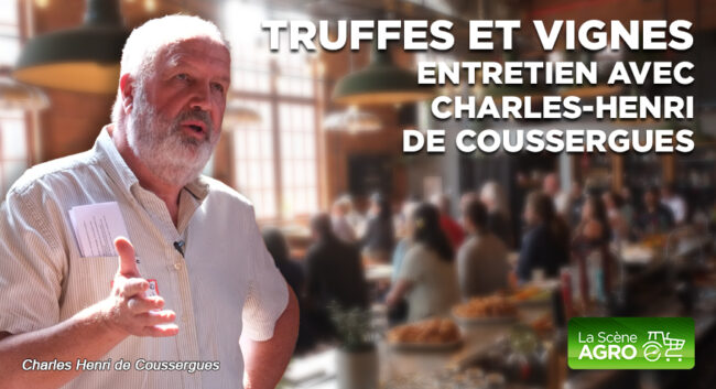 Balado – TRUFFES ET VIGNES Charles-Henri