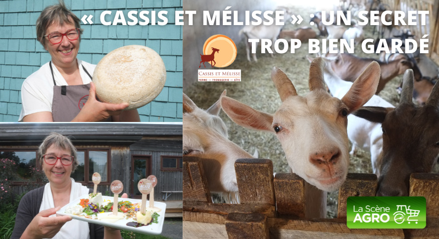 Fromagerie Cassis et Mélisse Cassis et Mélisse